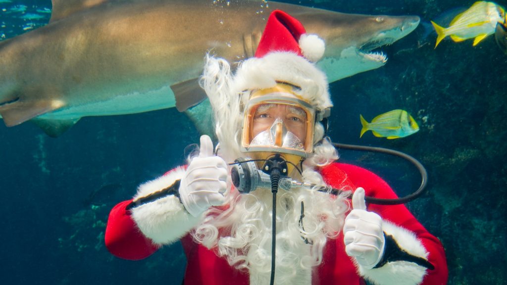 Scuba Santa at the Silverton Aquarium