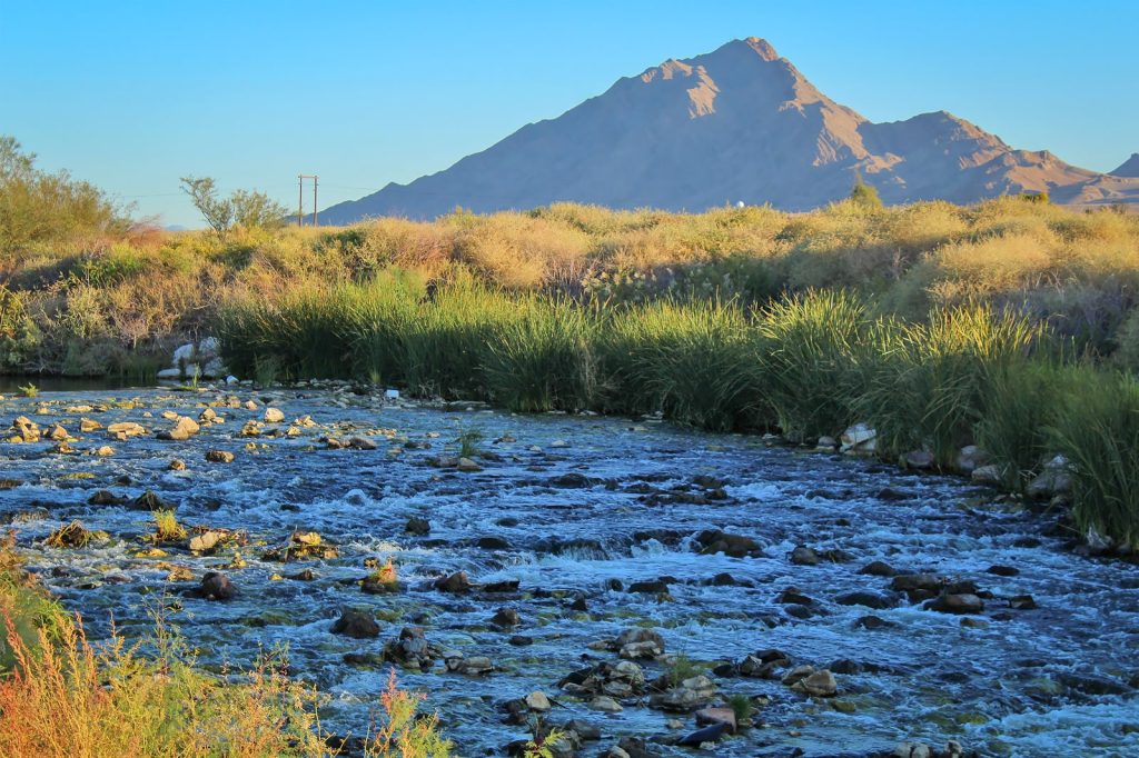 Clark County Wetlands