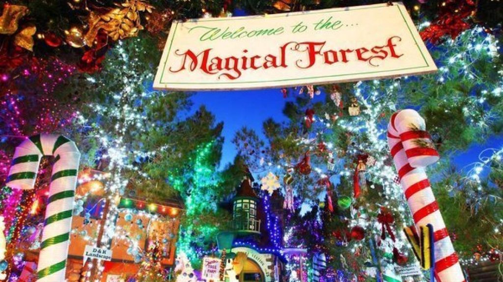 Magical Forest at Opportunity Village