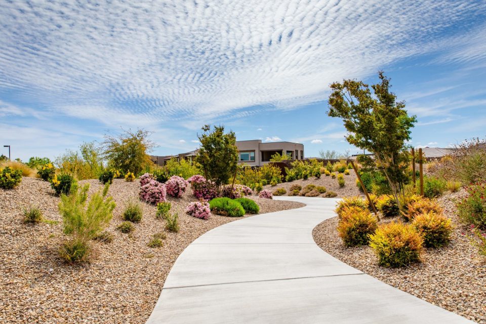 Why Summerlin has the BEST Amenities in Las Vegas