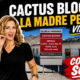 Cactus Bloom
