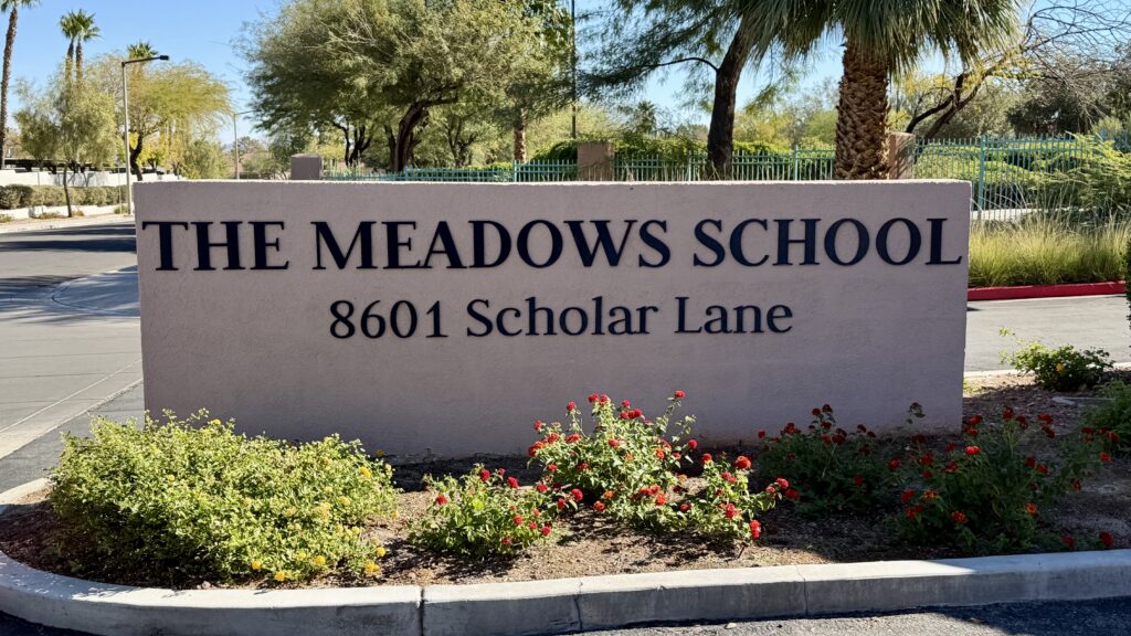 Meadows School
